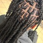 Two Strand Twist (Natural Hair)