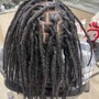 Starter locs