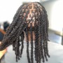 Box Braids ( No hair added)