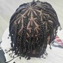 Loc Attachment Top of head