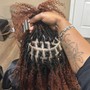 Loc Retwist