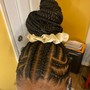 Braided Ponytail