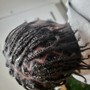 Natural Twists