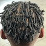 Starter Dreadlocks