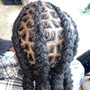 Feed-In Braids