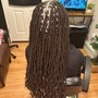 Starter Locs