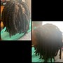 Medium size Kinky Twist