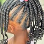 Individual braids (Plaits)