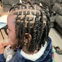 Individual braids (Plaits)