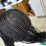 Medium Box Braids