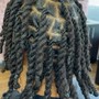 Starter Locs