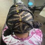 2 Feed In Braids