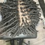 Root Touch Up