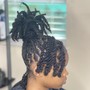 Starter Dreadlocks