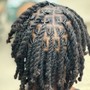 Starter Dreadlocks