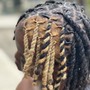 Starter Dreadlocks