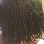 Loc Root Repair Add On