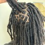 Loc Retwist(shorter length)