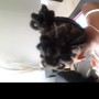 Partial Sew In