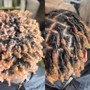 Root Touch Up