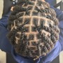 Bantu Knots