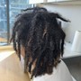 Two Strand Twists