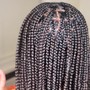 4-5 Feed-In Braids