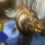 Box Braids