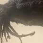 Dreadlocks combo