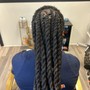 Fish Tail Braid $35