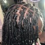 Dread Retwist (Only)