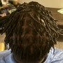 Starter Locs