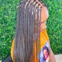 Tree Braids