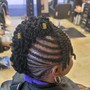 Starter Locs