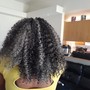 Two Strand Twist