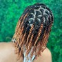 Natural Hair Braids/Twists