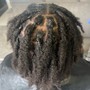 Loc wash / retwist