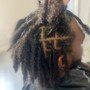 Loc wash / retwist