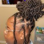 Wig  Braid down