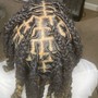 Natural Twists