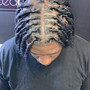 Comb Twist/  + two strand + style