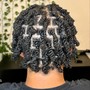 Natural Twists