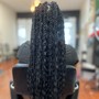 Twist or Braids over Locs