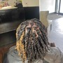 Two strand twist natural hair