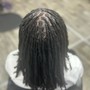 Root Touch Up