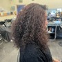 Root Touch Up