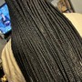 Men’s Braids, Twists, & Cornrows