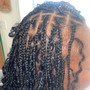 Twist (two strand on natural hair)