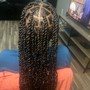 Senegalese/ Island Twist