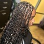 Highlighted braids